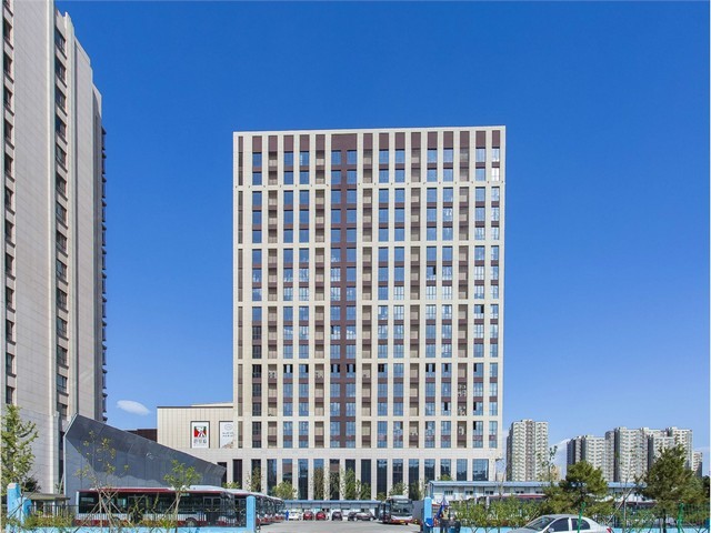 浙江求购仿真植物